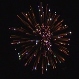 Silver chryz w purple pistil